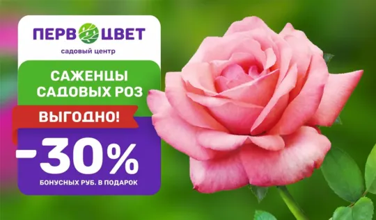 СЦ Первоцвет — официальный сайт