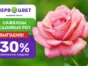 Выгодно! Возвращаем 30% бонусов при покупке саженцев роз!