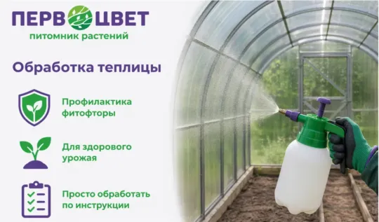 СЦ Первоцвет — официальный сайт