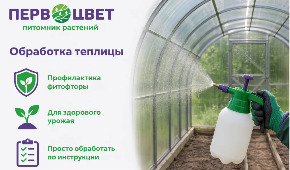 Весенняя обработка теплиц