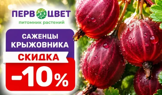 СЦ Первоцвет — официальный сайт