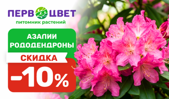 СЦ Первоцвет — официальный сайт