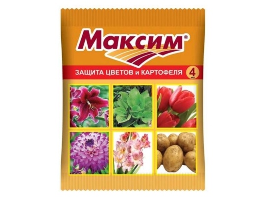 Фунгицид Максим 4мл (ВХозяйство)