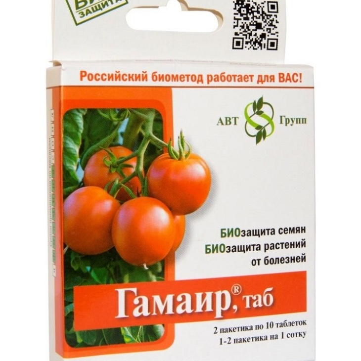 77924fda5733084fbfde6d3e91259459