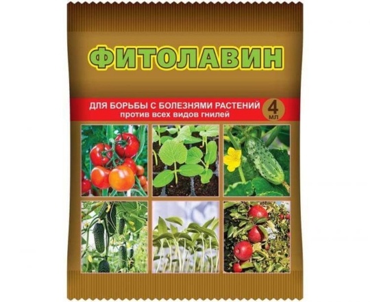 Фунгицид Фитолавин 4мл (ВХозяйство)