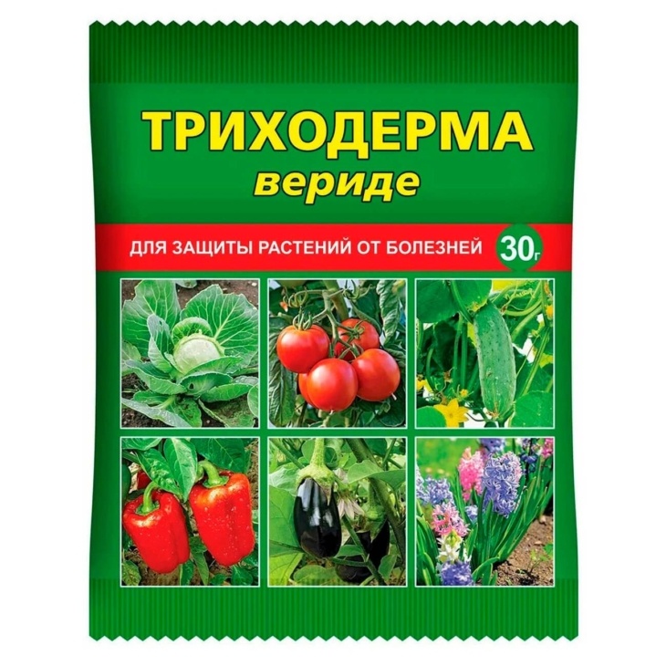 b074c0d0ed2c119a456175d53b49ae6e