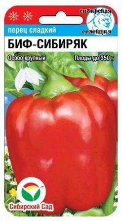 000010ad51f82f8ed4119179401c208a