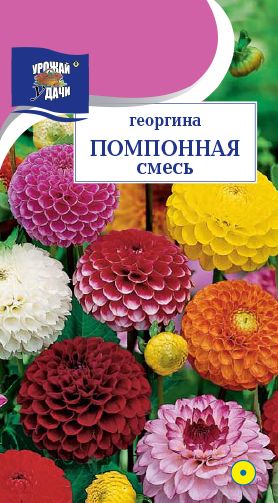 Семена Георгина (Урожай Удачи) Помпонная смесь окрасок 0,2гр