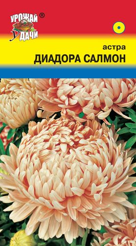 Семена Астра (Урожай Удачи) Диадора Салмон