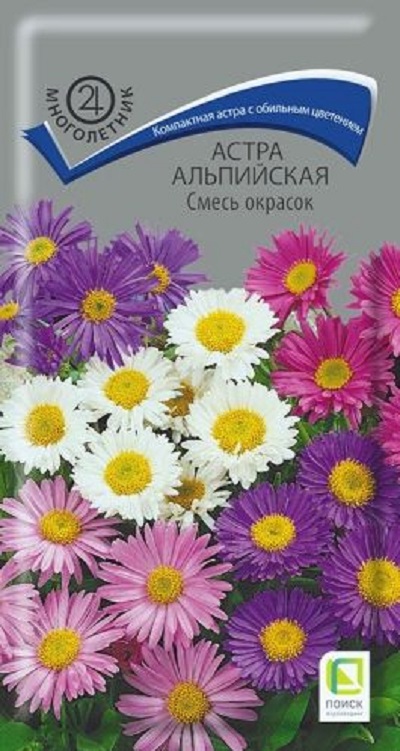 Семена Астра (Поиск) Альпийская Смесь окрасок 0,3гр