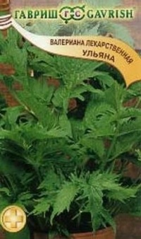 Семена Валериана Ульяна (Гавриш)