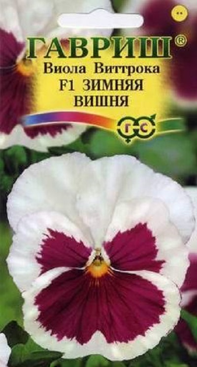 Семена Виола (Гавриш) Зимняя вишня 5шт
