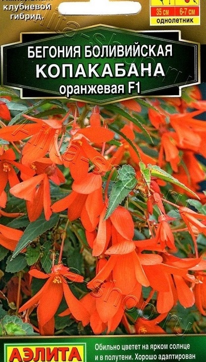 040f3fe2acd12db75c3b367cf7b64478