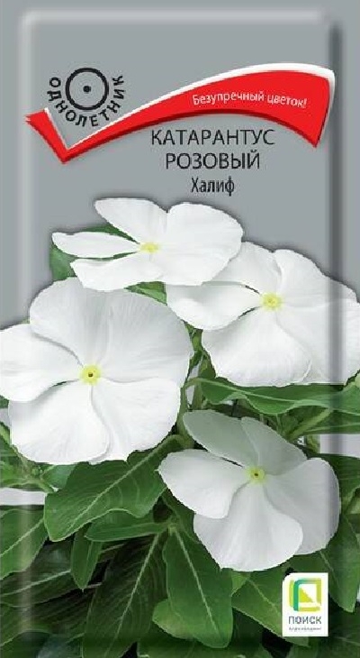 05832494d0a37f73f8bcf3103ed4a72b