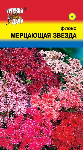 Семена Флокс (Урожай Удачи) Мерцающая звезда