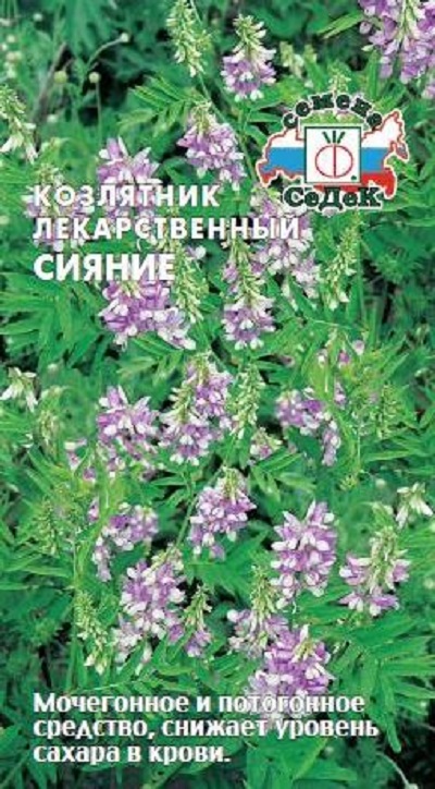0620562a03ab9f530f82378591091049