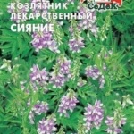 0669ef622ecd0f53b9cea2fa39f9b2a1