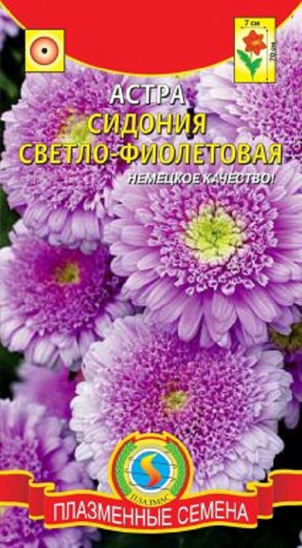 Семена Астра (Плазма) Сидония светло-фиолетовая