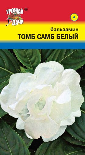 Семена Бальзамин (Урожай Удачи) Том Самб Белый 0,2гр.