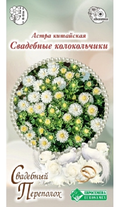 Семена Астра Свадебные колокольчики (Eurosamen) 5шт