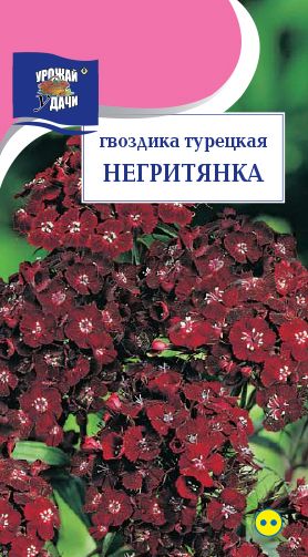 Семена Гвоздика (Урожай удачи) Негритянка турецкая