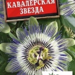 09c24e87cb4be8f98d4b52f057789b61