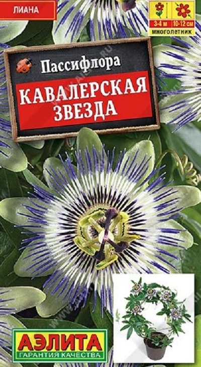 09c24e87cb4be8f98d4b52f057789b61