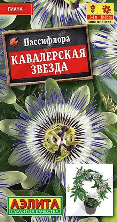Семена Пассифлора (Аэлита) Кавалерская звезда 5шт