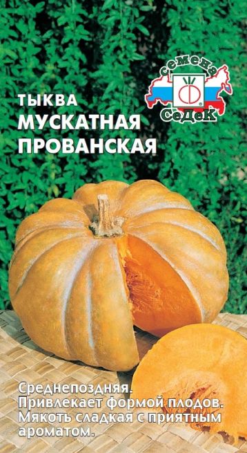 Семена Тыква Мускатная прованская (Седек) 1г