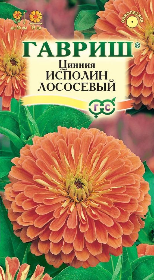 Семена Цинния (Гавриш) Исполин Лососевый 0,3гр