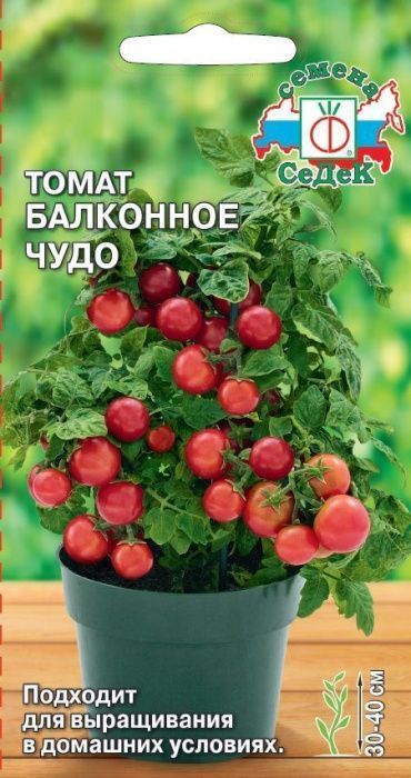 Семена Томат Балконное чудо (Седек)