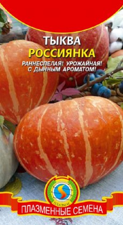 Семена Тыква Россиянка (Плазма) 2 гр.