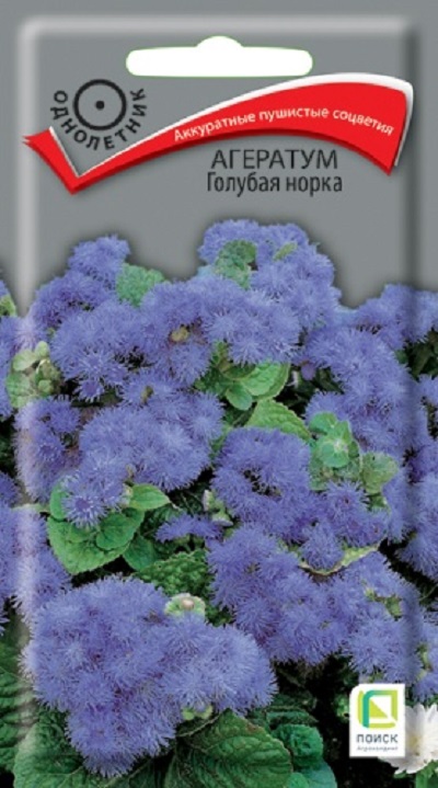 Семена Агератум (Поиск) Голубая норка