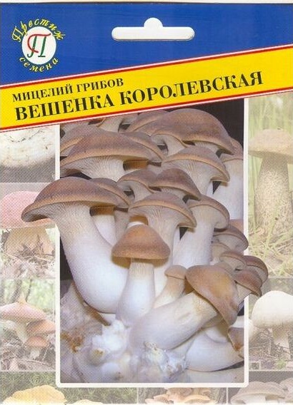 Семена Вешенка королевская (Престиж) 12мл
