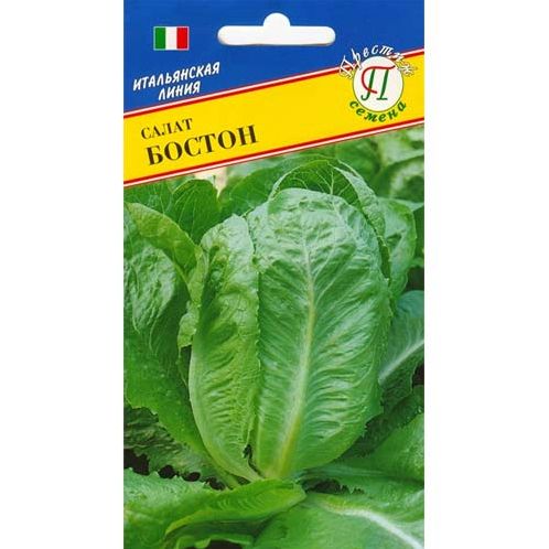 Семена Салат Бостон (Престиж) 0,5гр