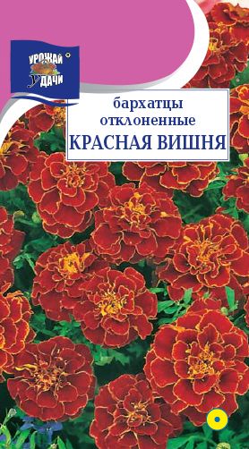 Семена Бархатцы (Урожай Удачи) Красная вишня 0,3г