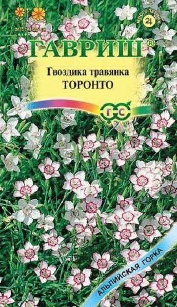 Семена Гвоздика (Гавриш) травянка Торонто