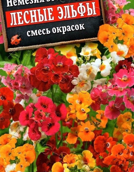 16293d93c57599a0c6c09e89b6d2b45b