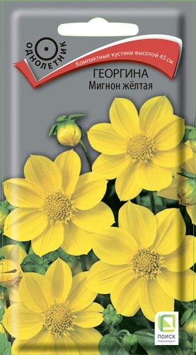 Семена Георгина (Поиск) Мигнон желтая  0,2гр