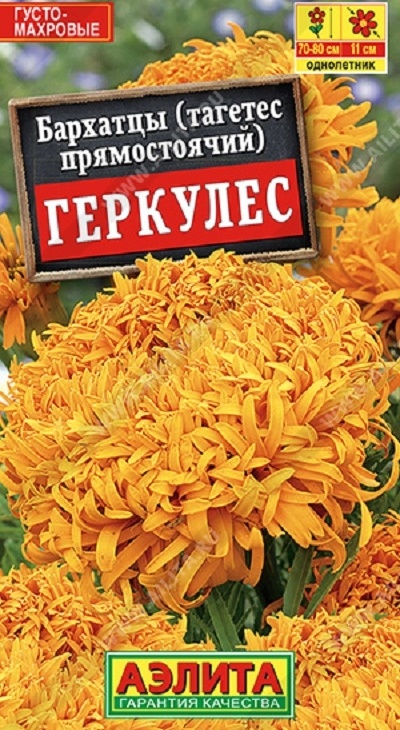 17d685b655ea53d908198e0edcddda38