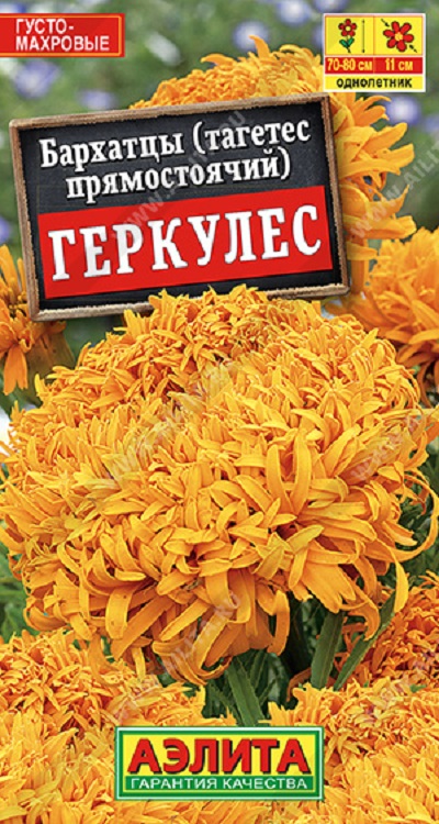 Семена Бархатцы Геркулес прямостоячие (Аэлита) 0,1г
