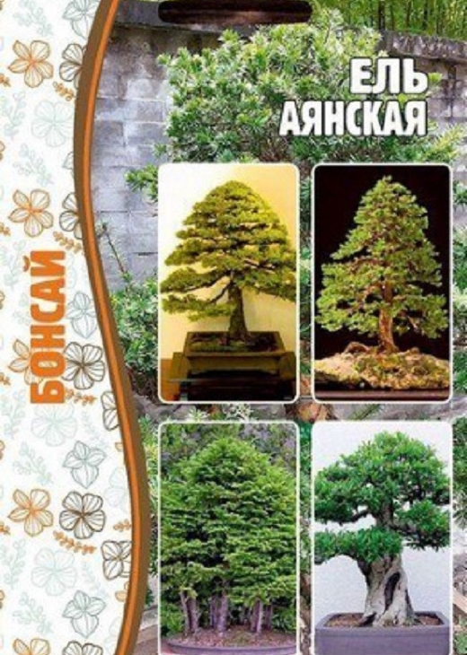19c13d6ce354d2050c1e1fb6751c9482