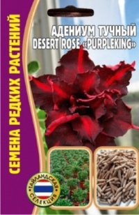 Семена Адениум (Редкие семена) Багровеющий (Purpleking) 3шт