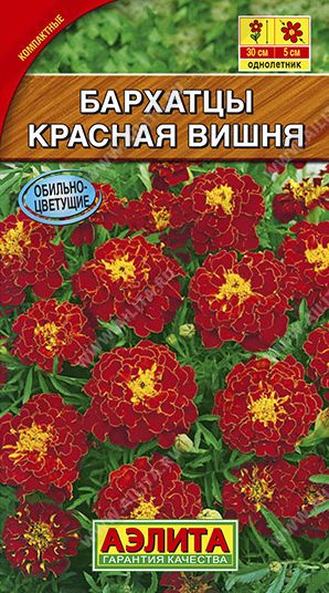 Семена Бархатцы (Аэлита) Красная вишня 0,3г