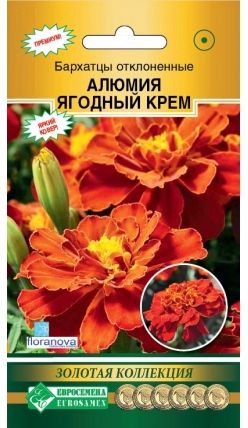 Семена Бархатцы Алюмия  (Eurosamen) Ягодный крем