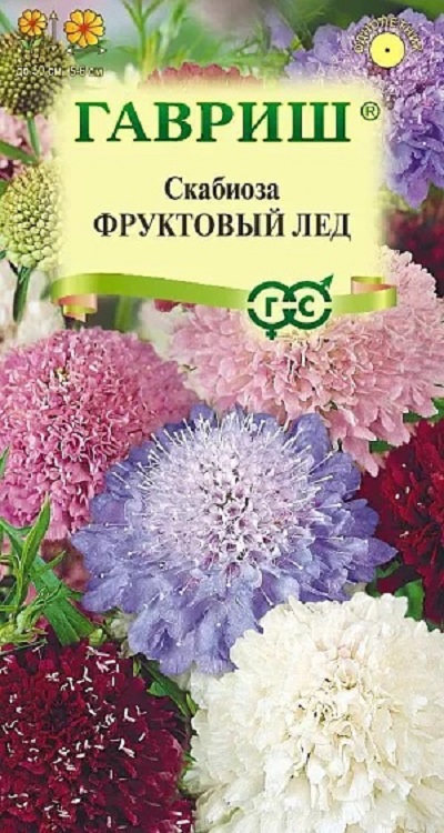 Семена Скабиоза (Гавриш) Фруктовый лед 0,2г