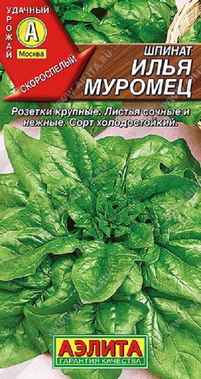 Семена Шпинат Илья Муромец (Аэлита) 3г