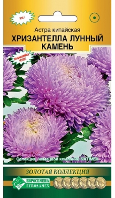 Семена Астра (Eurosamen) Хризантелла Лунный камень 5ш