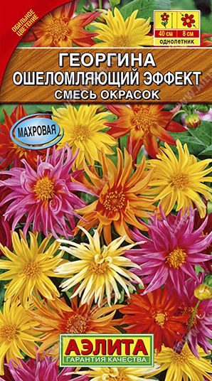 Семена Георгина (Аэлита) Ошеломляющий эффект смесь