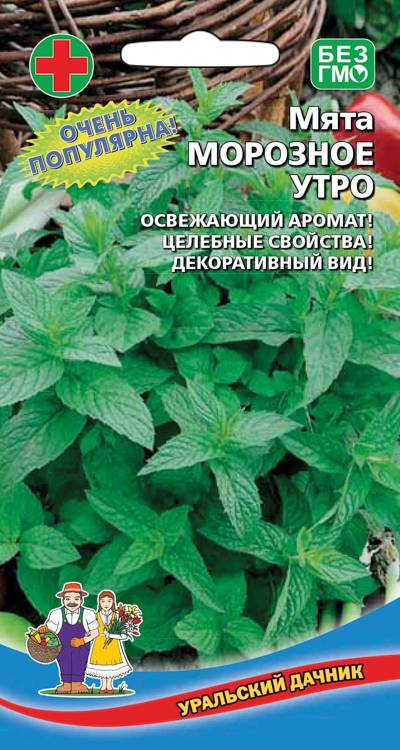 Семена Мята Морозное Утро (УДачник) 0,05 гр.